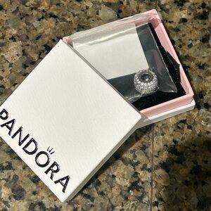 Pandora Silver Charm